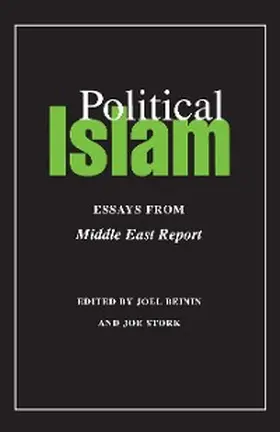 Beinin / Stork |  Political Islam | eBook | Sack Fachmedien