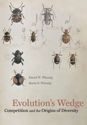 Pfennig |  Evolution's Wedge | eBook | Sack Fachmedien