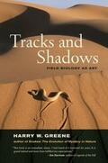 Greene |  Tracks and Shadows | eBook | Sack Fachmedien