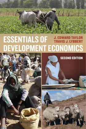 Taylor / Lybbert |  Essentials of Development Economics | eBook | Sack Fachmedien