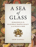 Harvell |  A Sea of Glass | eBook | Sack Fachmedien