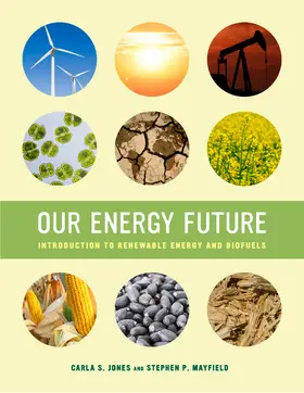 Jones / Mayfield |  Our Energy Future | eBook | Sack Fachmedien