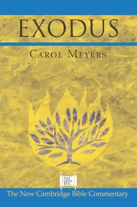 Meyers / Witherington / Arnold |  Exodus | Buch |  Sack Fachmedien