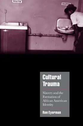 Eyerman / Seidman / Alexander |  Cultural Trauma | Buch |  Sack Fachmedien