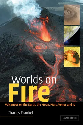 Frankel |  Worlds on Fire | Buch |  Sack Fachmedien