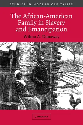 Dunaway |  The African-American Family in Slavery and Emancipation | Buch |  Sack Fachmedien