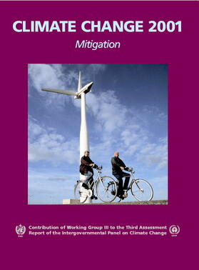 Davidson / Metz / Swart | Climate Change 2001 | Buch | 978-0-521-01502-8 | sack.de