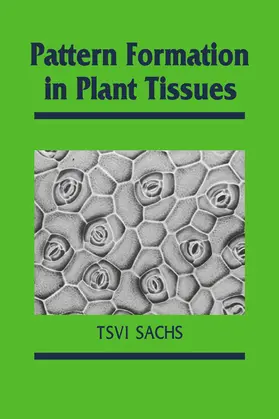 Sachs / Bard / Barlow |  Pattern Formation in Plant Tissues | Buch |  Sack Fachmedien