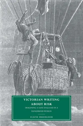 Freedgood | Victorian Writing about Risk | Buch | 978-0-521-02872-1 | www.sack.de