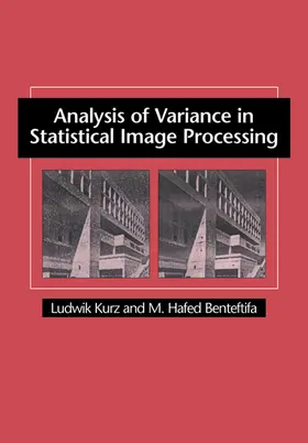 Kurz / Benteftifa |  Analysis of Variance in Statistical Image Processing | Buch |  Sack Fachmedien