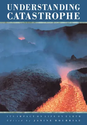 Bourriau |  Understanding Catastrophe | Buch |  Sack Fachmedien
