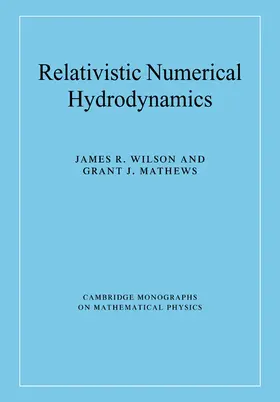 Wilson / Mathews |  Relativistic Numerical Hydrodynamics | Buch |  Sack Fachmedien