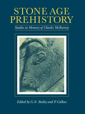 Bailey / Callow |  Stone Age Prehistory | Buch |  Sack Fachmedien