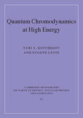 Kovchegov / Levin |  Quantum Chromodynamics at High Energy | Buch |  Sack Fachmedien
