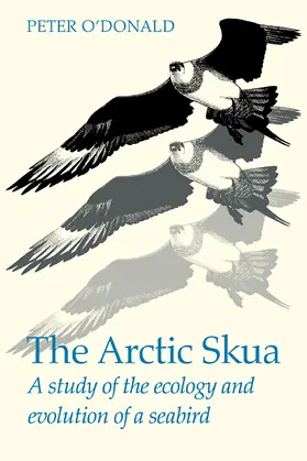 O'Donald |  The Arctic Skua | Buch |  Sack Fachmedien