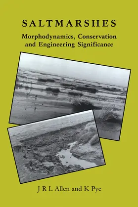 Allen / Pye |  Saltmarshes | Buch |  Sack Fachmedien