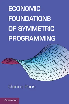Paris |  Economic Foundations of Symmetric Programming | Buch |  Sack Fachmedien