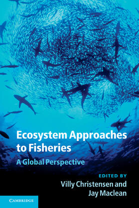 Christensen / Maclean | Ecosystem Approaches to Fisheries | Buch | 978-0-521-13022-6 | sack.de