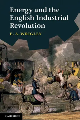 Wrigley |  Energy and the English Industrial Revolution | Buch |  Sack Fachmedien