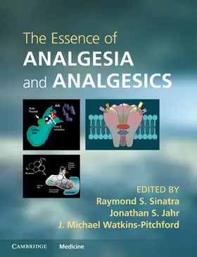 Sinatra / Jahr / Watkins-Pitchford |  The Essence of Analgesia and Analgesics | Buch |  Sack Fachmedien