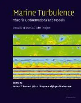 Baumert / Simpson / Sundermann |  Marine Turbulence | Buch |  Sack Fachmedien