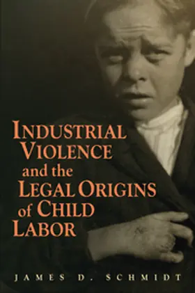 Schmidt |  Industrial Violence and the Legal Origins of Child Labor | Buch |  Sack Fachmedien