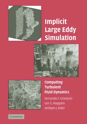Grinstein / Margolin / Rider |  Implicit Large Eddy Simulation | Buch |  Sack Fachmedien