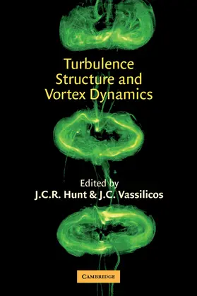 Hunt / Vassilicos |  Turbulence Structure and Vortex Dynamics | Buch |  Sack Fachmedien