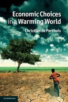 de Perthuis |  Economic Choices in a Warming World | Buch |  Sack Fachmedien