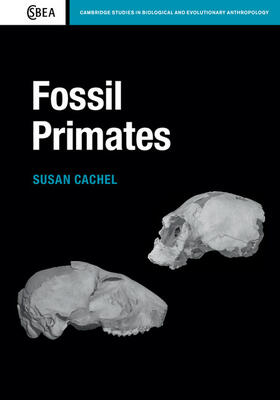 Cachel | Fossil Primates | Buch | 978-0-521-18302-4 | sack.de