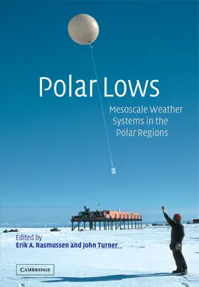 Rasmussen / Turner |  Polar Lows | Buch |  Sack Fachmedien