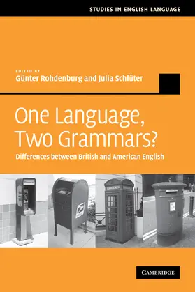 Rohdenburg / Schlüter |  One Language, Two Grammars? | Buch |  Sack Fachmedien