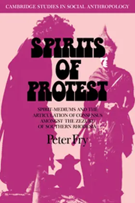 Fry |  Spirits of Protest | Buch |  Sack Fachmedien