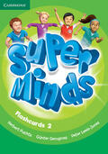 Puchta / Gerngross / Lewis-Jones |  Super Minds Level 2 Flashcards (Pack of 103) | Buch |  Sack Fachmedien