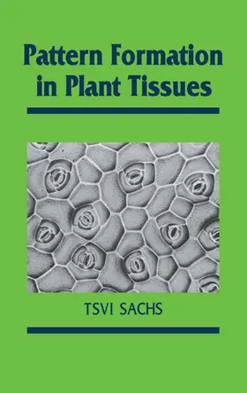 Sachs |  Pattern Formation in Plant Tis | Buch |  Sack Fachmedien