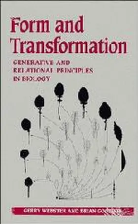 Webster / Goodwin |  Form and Transformation | Buch |  Sack Fachmedien
