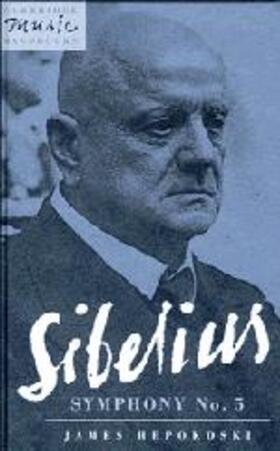 Hepokoski / Rushton | Sibelius | Buch | 978-0-521-40143-2 | sack.de
