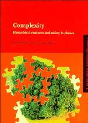Badii / Politi |  Complexity | Buch |  Sack Fachmedien