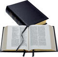  Lectern Bible-REB-apocrypha | Buch |  Sack Fachmedien