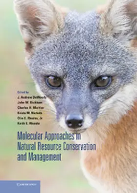 DeWoody / Bickham / Michler |  Molecular Approaches in Natural Resource Conservation and Management | Buch |  Sack Fachmedien