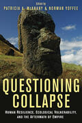 Mcanany / McAnany / Yoffee |  Questioning Collapse | Buch |  Sack Fachmedien