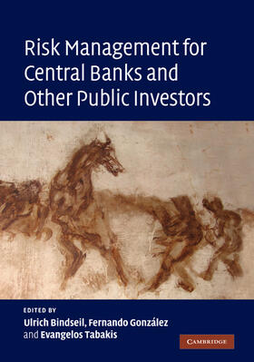 Bindseil / Gonzalez / Tabakis | Risk Management for Central Banks and Other Public             Investors | Buch | 978-0-521-51856-7 | sack.de