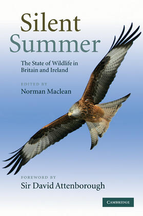 Maclean |  Silent Summer | Buch |  Sack Fachmedien