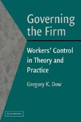 Dow | Governing the Firm | Buch | sack.de