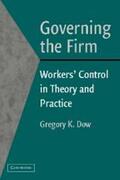 Dow |  Governing the Firm | Buch |  Sack Fachmedien