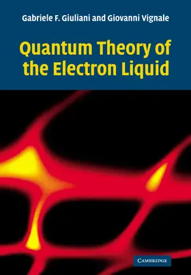 Giuliani / Vignale |  Quantum Theory of the Electron Liquid | Buch |  Sack Fachmedien