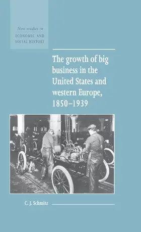 Schmitz |  The Growth of Big Business in the United States and Western Europe, 1850-1939 | Buch |  Sack Fachmedien