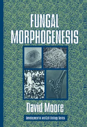 Moore |  Fungal Morphogenesis | Buch |  Sack Fachmedien