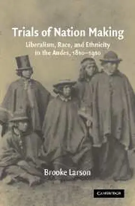 Larson |  Trials of Nation Making | Buch |  Sack Fachmedien