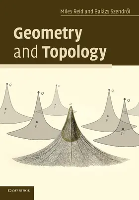 Reid / Szendroi |  Geometry and Topology | Buch |  Sack Fachmedien